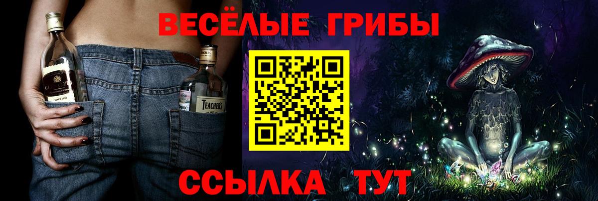 Псилоцибиновые грибы Cubensis  Псилоцибиновые грибы GOLDEN TEACHER  Вход с VPN  Волжский 